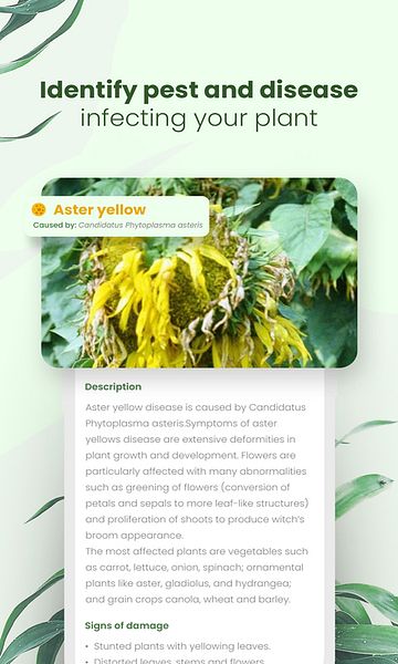 Plantora- Plant Identify, Care