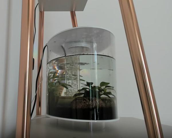 Setup of a digital IP camera system connected to a network for remote fish tank monitoring.