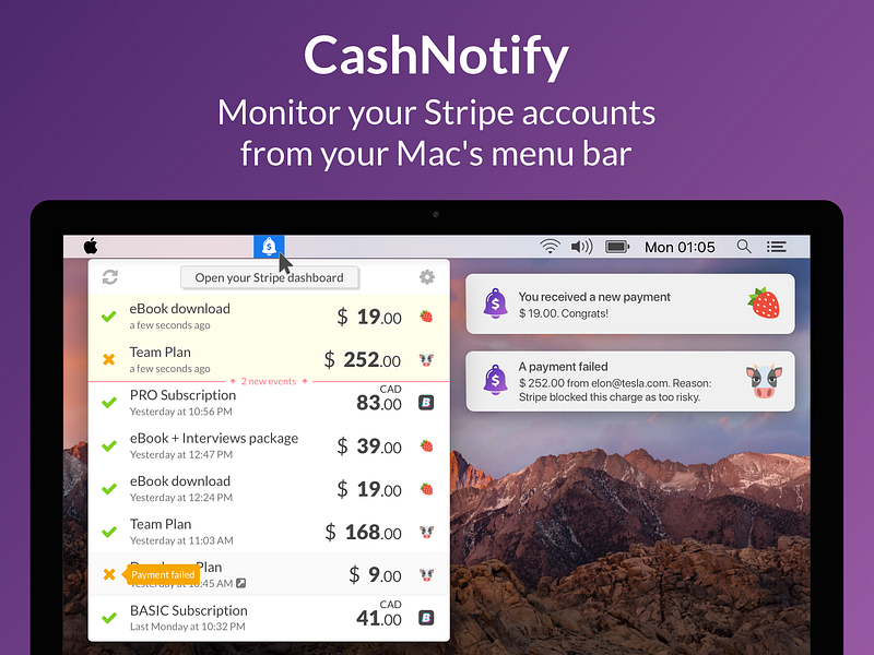 CashNotify