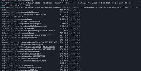 The image displays a terminal output showing memory usage statistics for various Docker containers.