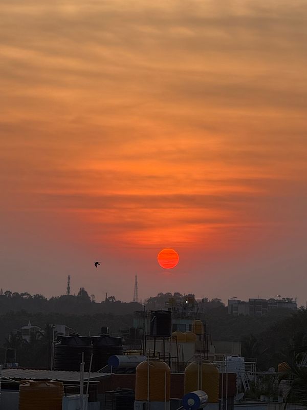 A vibrant sunset over a city skyline with silhouetted rooftops and a bird in flight.