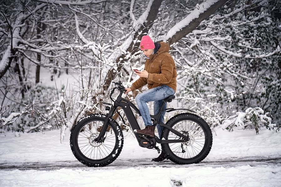Luup-X eBike