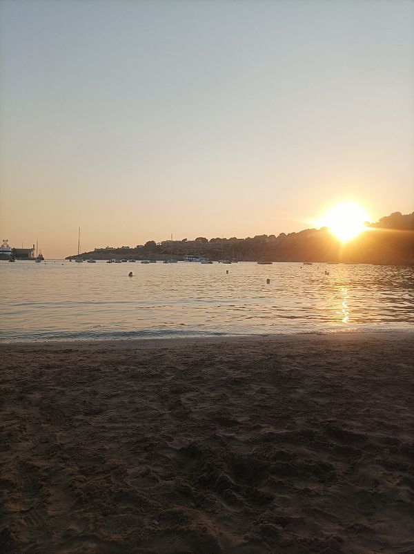 A serene beach scene at sunset with gentle waves and silhouettes of people swimming.