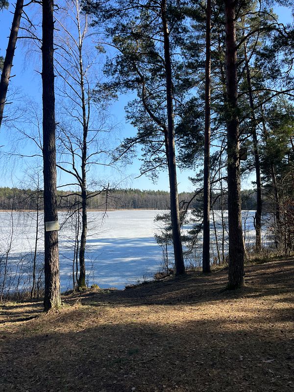 A serene park scene features a paved walking path surrounded by green grass, benches, and trees under a cloudy sky.
