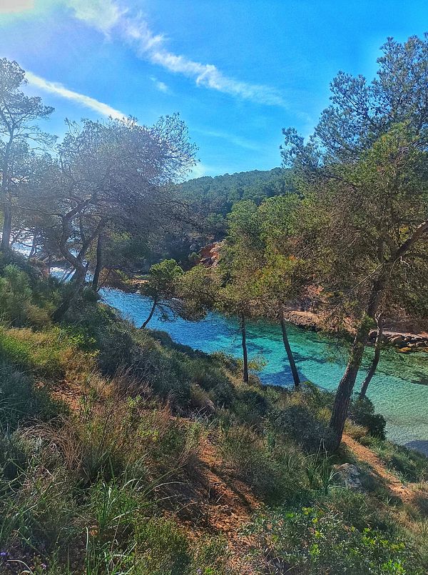 A scenic view of a tranquil coastal area surrounded by trees and clear blue water.