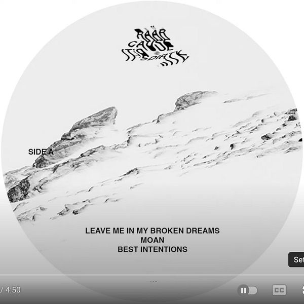 The image features a vinyl record label with artistic design and track listings.