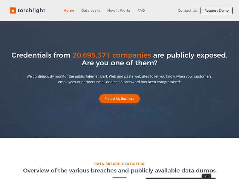 torchlight