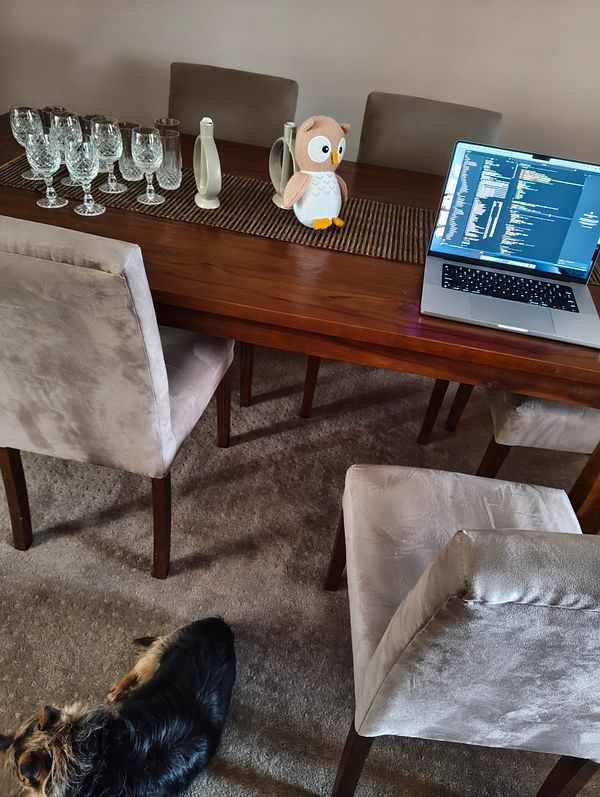 A dining table set up with glassware, a laptop, a plush owl, and a dog resting nearby.