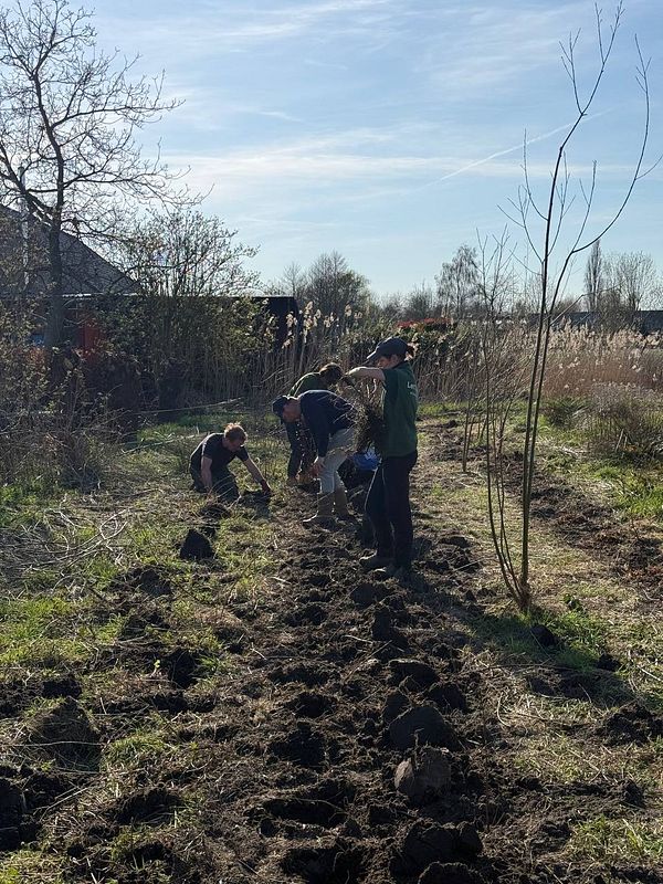 A digital artwork of a vibrant forest landscape with various colorful trees and a flowing river under a bright sky.