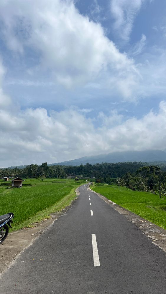 A scenic road winding through lush green rice fields in Bali under a partly cloudy sky.