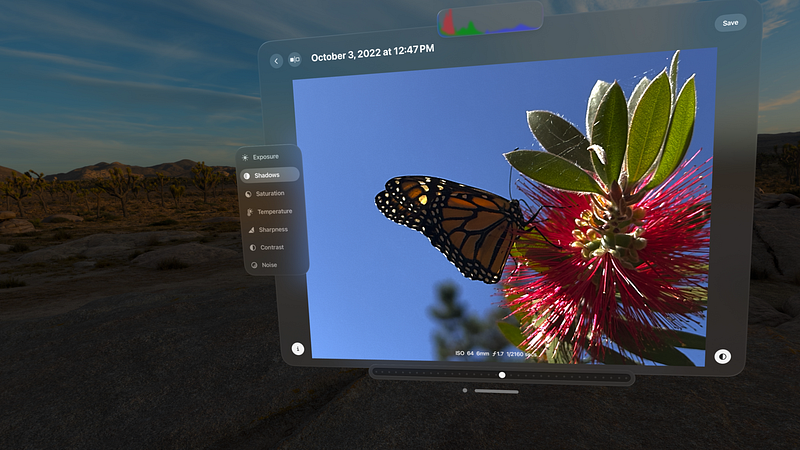 Screenshot of Bloom - RAW Image Editor