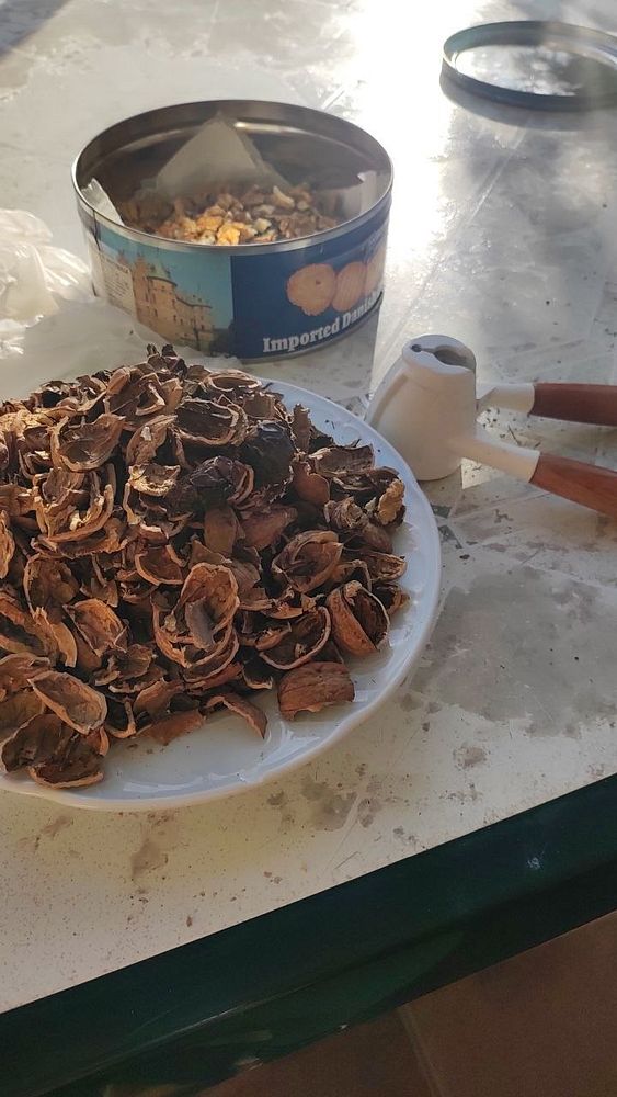 A plate filled with walnut shells and a nutcracker on a table.
