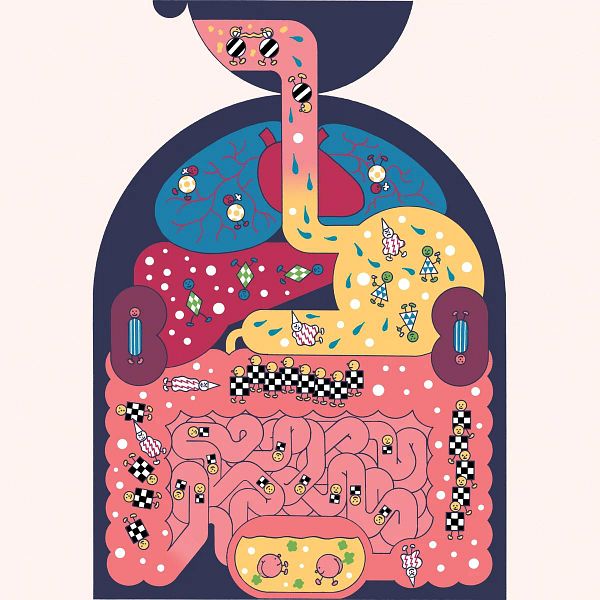 The image is a colorful, cartoonish illustration of the human digestive system, depicting various elements related to microbiome health.