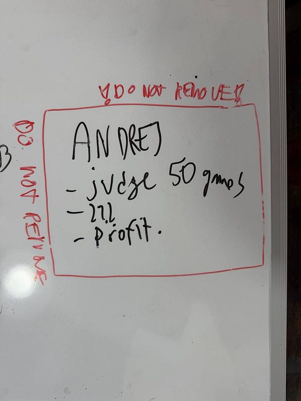 Photograph of a framed handwritten todo list by Karpathy displayed on a wall.