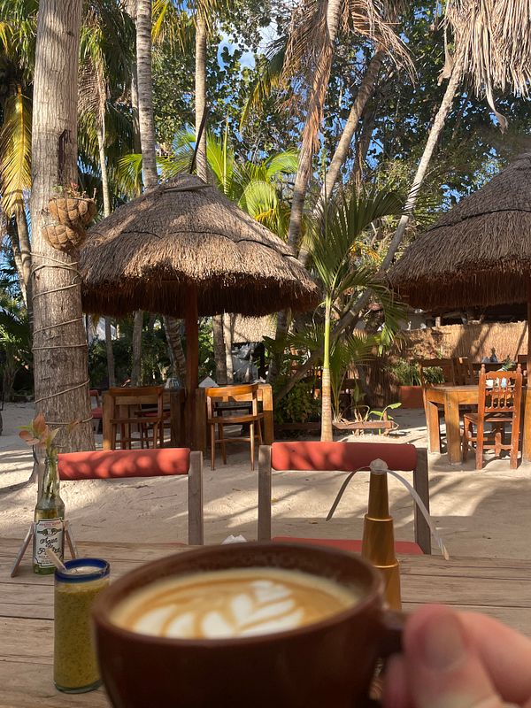A scenic view of a coffee cup resting on a wooden surface with coconut trees and a bright sky in the background.
