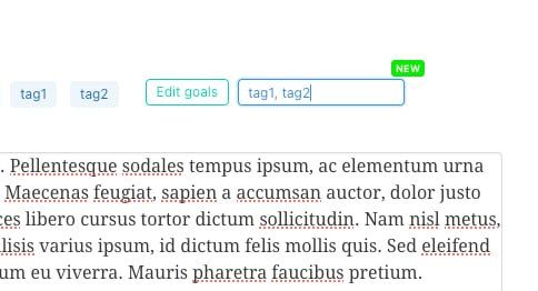 A user interface displaying a tag editing feature on a slug page for posts.