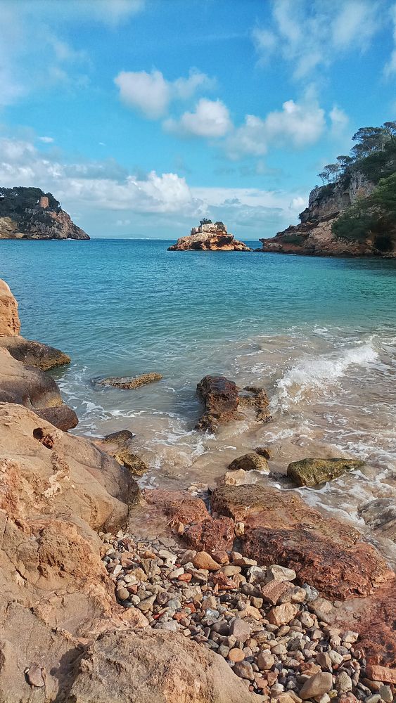 A couple walking hand-in-hand on a nature trail surrounded by trees and greenery.