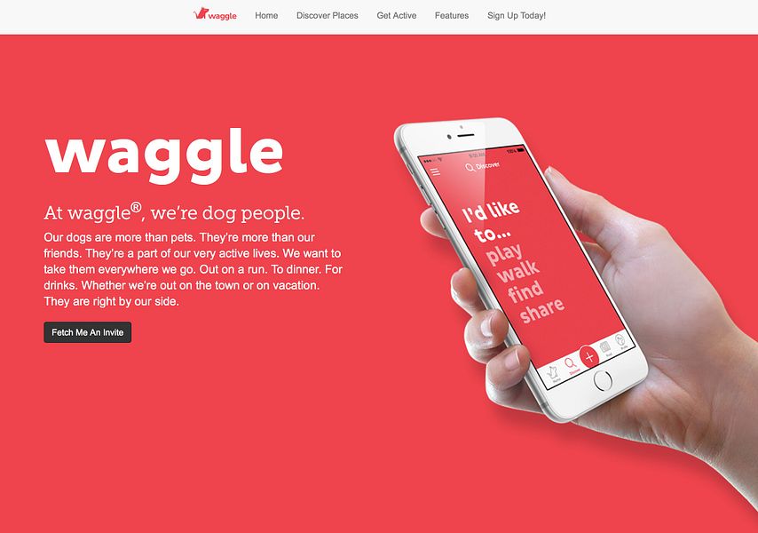 waggle