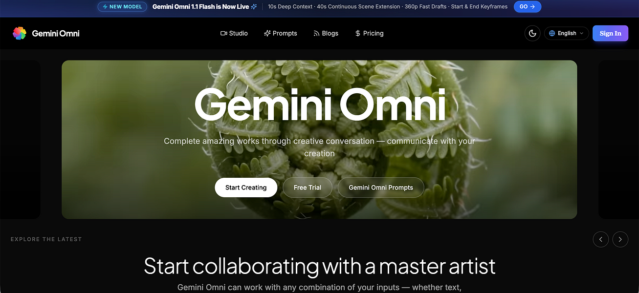 Gemini Omni