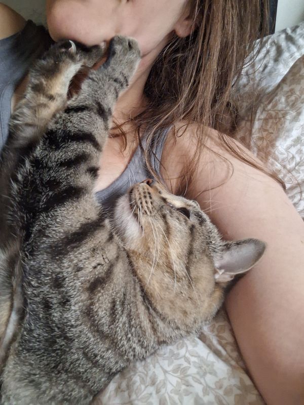 A person is cuddling with a cat in bed, showcasing a playful moment.