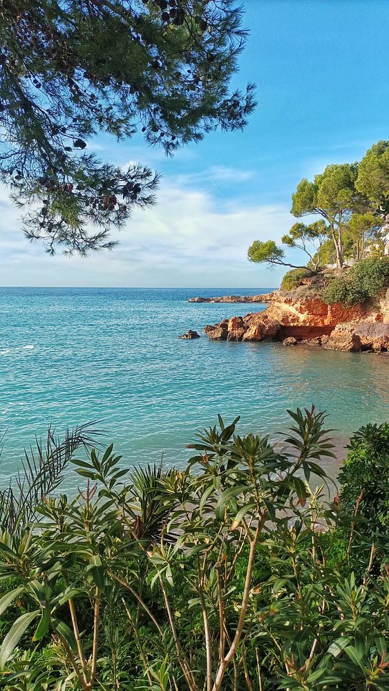 A serene coastal view featuring clear blue water and lush greenery.
