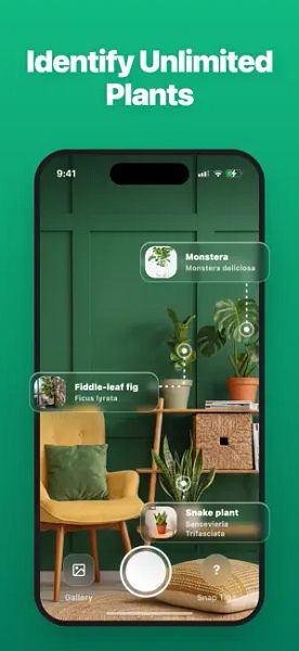 LivePlant