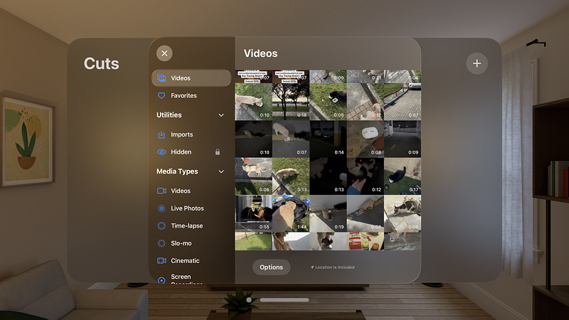 Screenshot of Cuts for Vision Pro