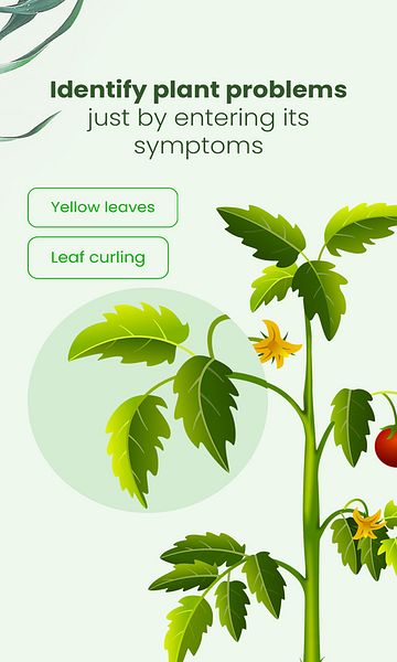 Plantora- Plant Identify, Care