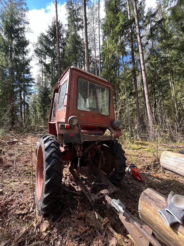 A man in outdoor work attire stands in a forest holding a chainsaw near a fallen tree.