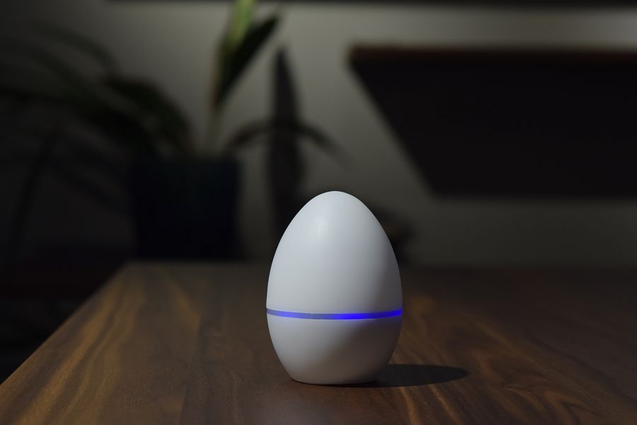 Smart Egg