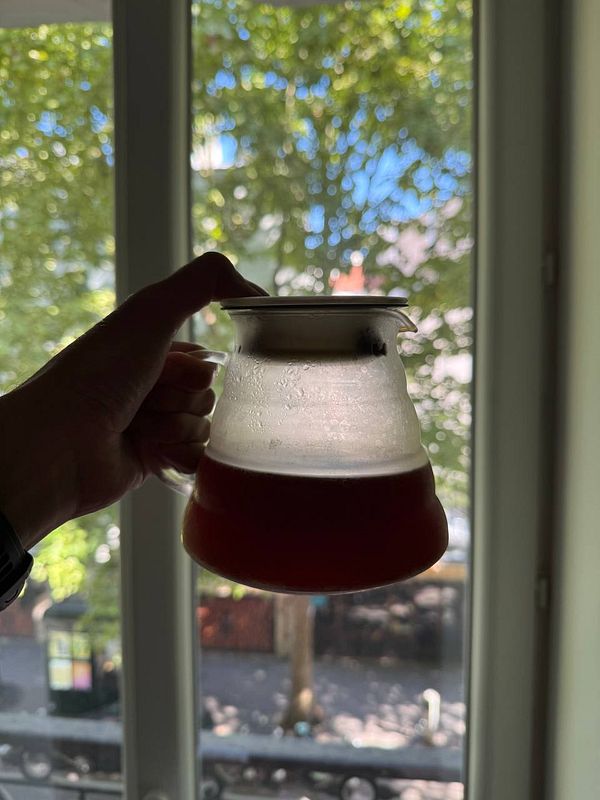 A hand holds a glass pitcher of cold brew coffee against a backdrop of greenery and sunlight.