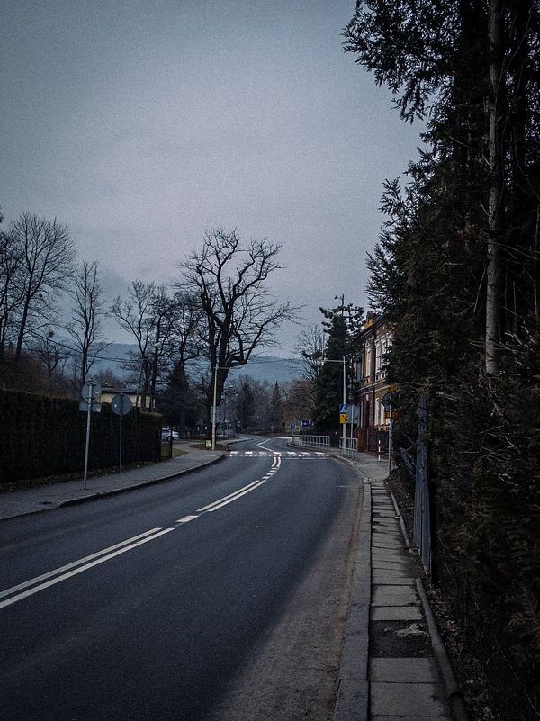 A quiet, winding road lined with trees and a building, captured in a moody, overcast atmosphere.