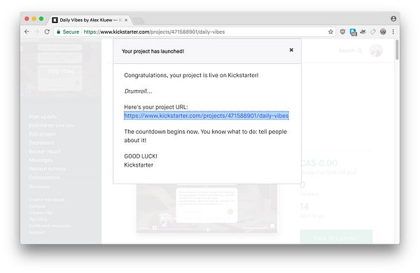 The image shows a Kickstarter project launch confirmation window in a web browser.