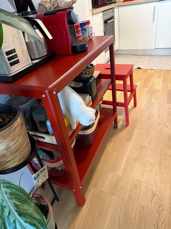 A curious white cat is exploring a red shelf in a kitchen setting.