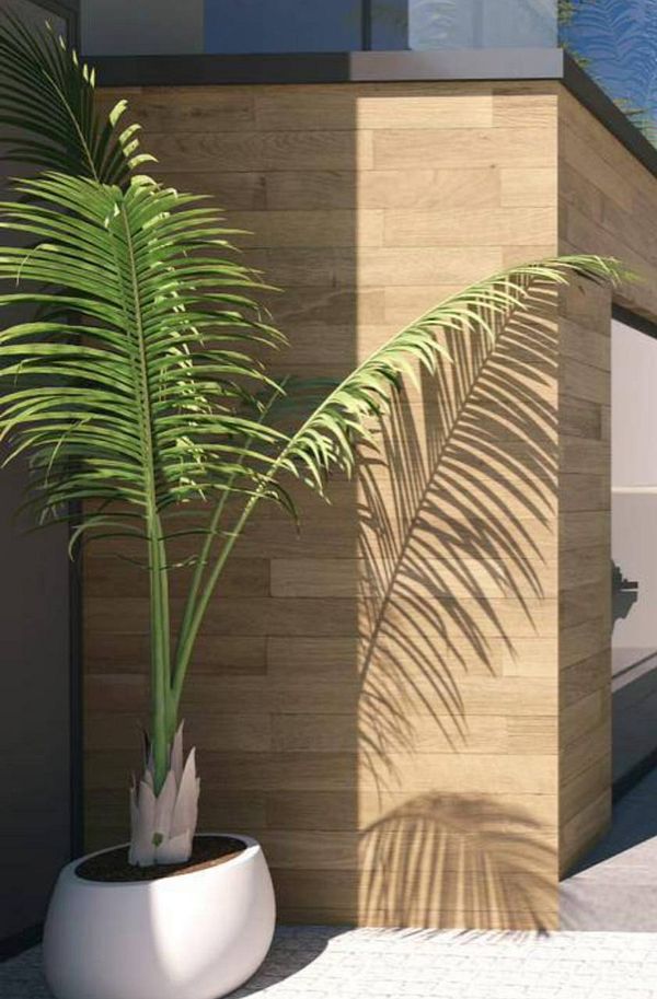 Photograph of an overgrown garden with various plants, including dense bushes and a tree, bordered by a wooden fence and a concrete wall.