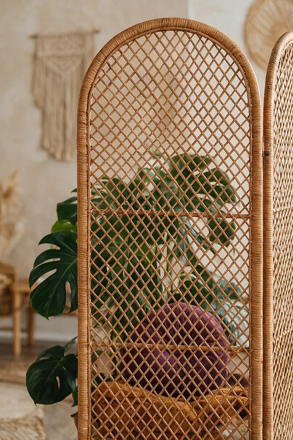 A tall arched room divider made of woven rattan stands in front of leafy green plants. The natural tan lattice pattern gives the piece a breezy bohemian look, with a soft neutral interior and a purple cushion partially visible behind it.