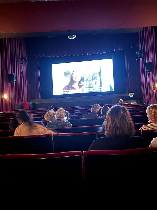 A group of people watching a film in a vintage-style theater.