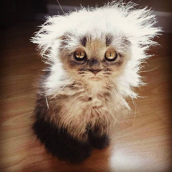 Close-up of a customer support agent wearing a headset and smiling while looking at a laptop.