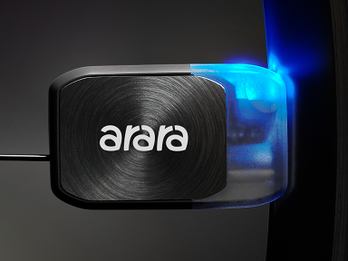 Arara