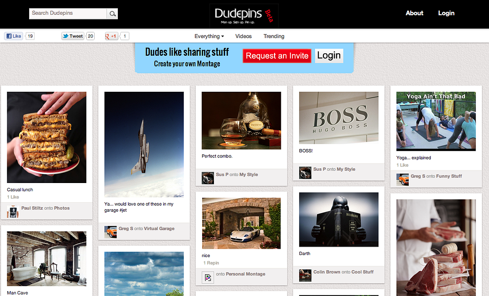 Dudepins