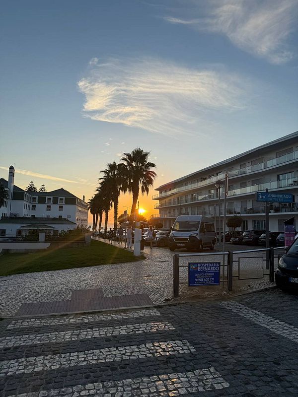 A picturesque sunset view along a palm-lined street with buildings and vehicles.