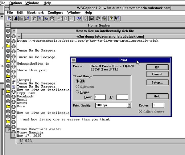 The image displays a Windows 3.11 interface with a print dialog box open.