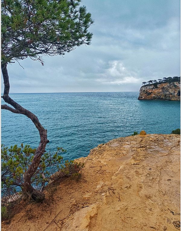 A scenic coastal view featuring a rocky shoreline and a calm sea under a cloudy sky.