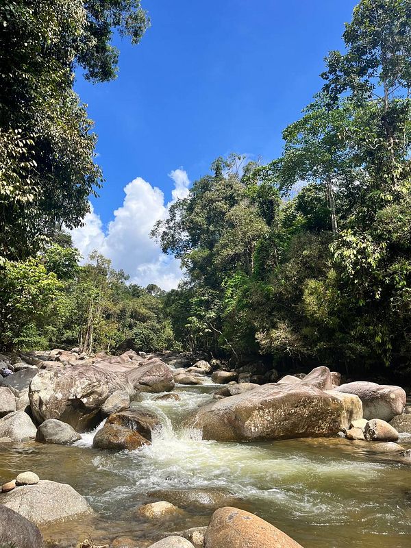 A serene river scene surrounded by lush greenery and large rocks under a clear blue sky.