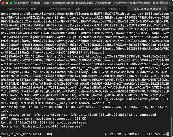 The image displays a terminal window showing a download process for a file related to the HiDream image model.
