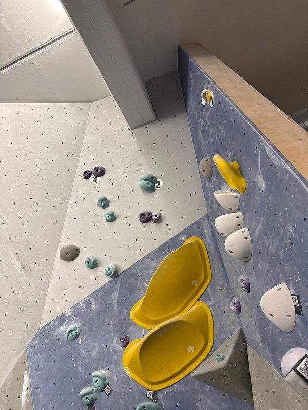 Photo of a hand showing severe skin abrasions and peeling, typical of intense bouldering activity.