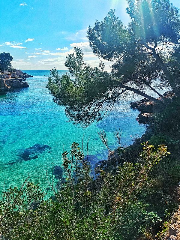 A scenic view of a tranquil coastal area with clear turquoise water and lush greenery.