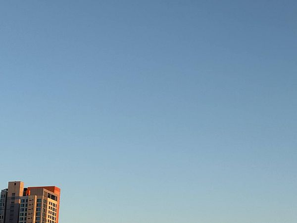 A windy day with a clear blue sky above a modern high-rise building.