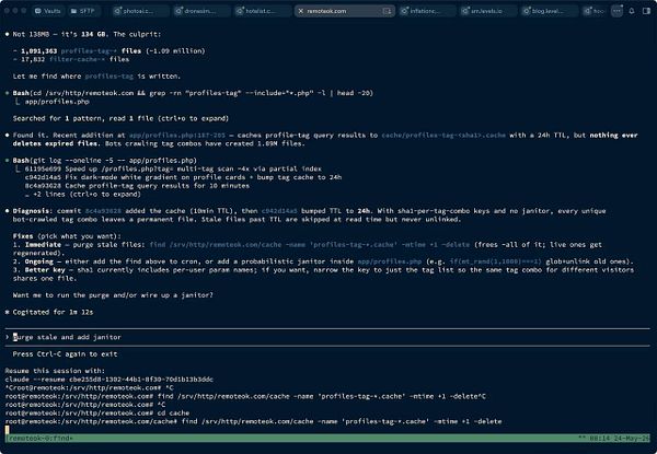 Screenshot showing a detailed disk usage analysis with large cache files from Claude Code.
