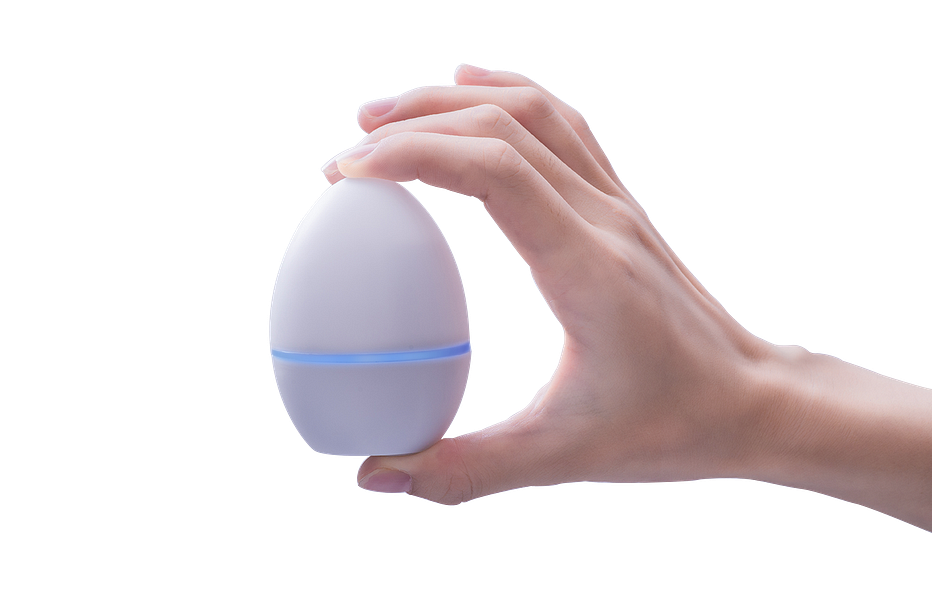 Smart Egg